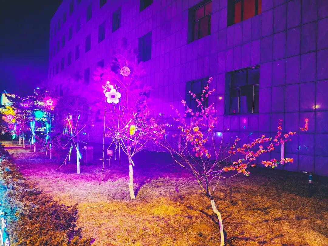 1643371812334701.jpg
