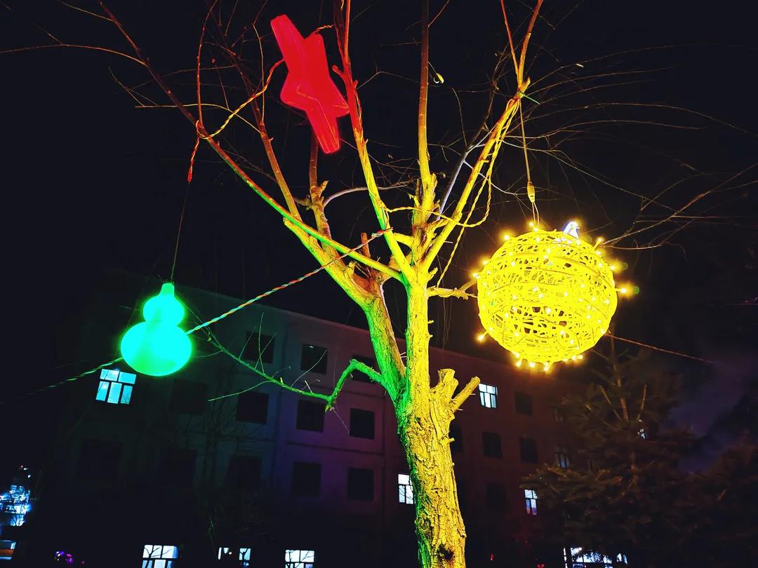 1643371812715188.jpg